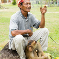 Monkey trainer