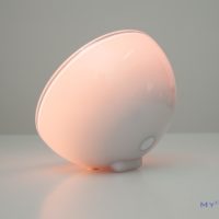 Philips Hue Go