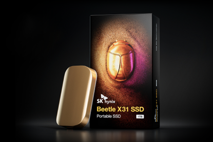 SK hynix Beetle X31 1