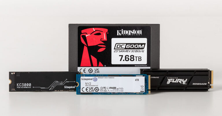 Kingston Technology SSD Market Share 2023 No.1