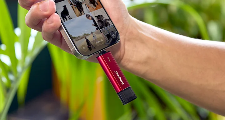 Kingston Dual Portable SSD (3)