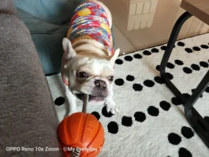 OPPO Reno 10x Zoom Edition camera sample