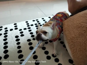 OPPO Reno 10x Zoom Edition camera sample