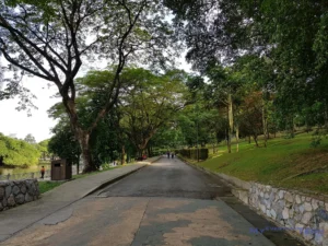 Samsung Galaxy Note8