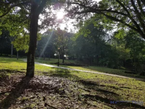 Samsung Galaxy Note8