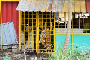 Girl at the metal grill door