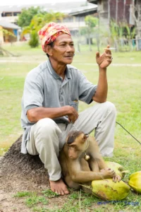 Monkey trainer