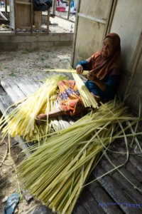 Old lady shredding the leaves for tobacco making